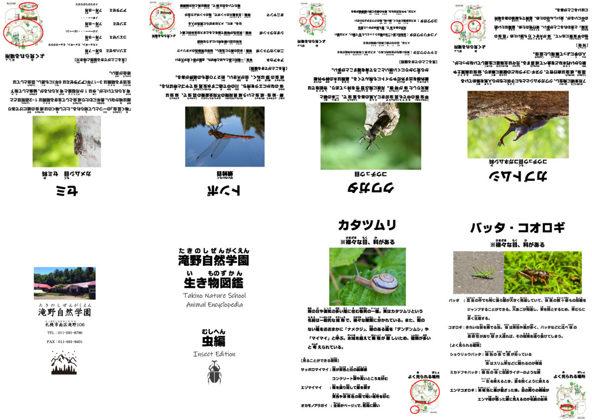 No8　滝野自然学園生き物図鑑～虫編～